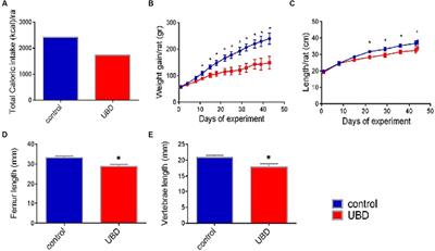 Effect of milk fat globules on growth and metabolism in rats fed an unbalanced diet